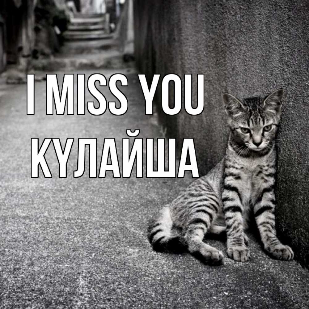 Greetings card с именем, КҮЛАЙША I miss you одиноко котику Greetings with text for free download 