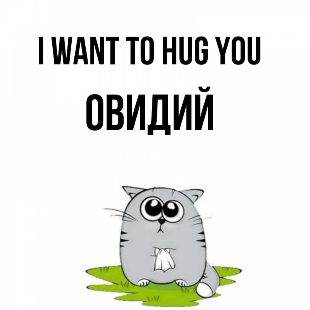 Greetings card с именем, Овидий I want to hug you котик теребит платочек сидя на травке Greetings with text for free download 