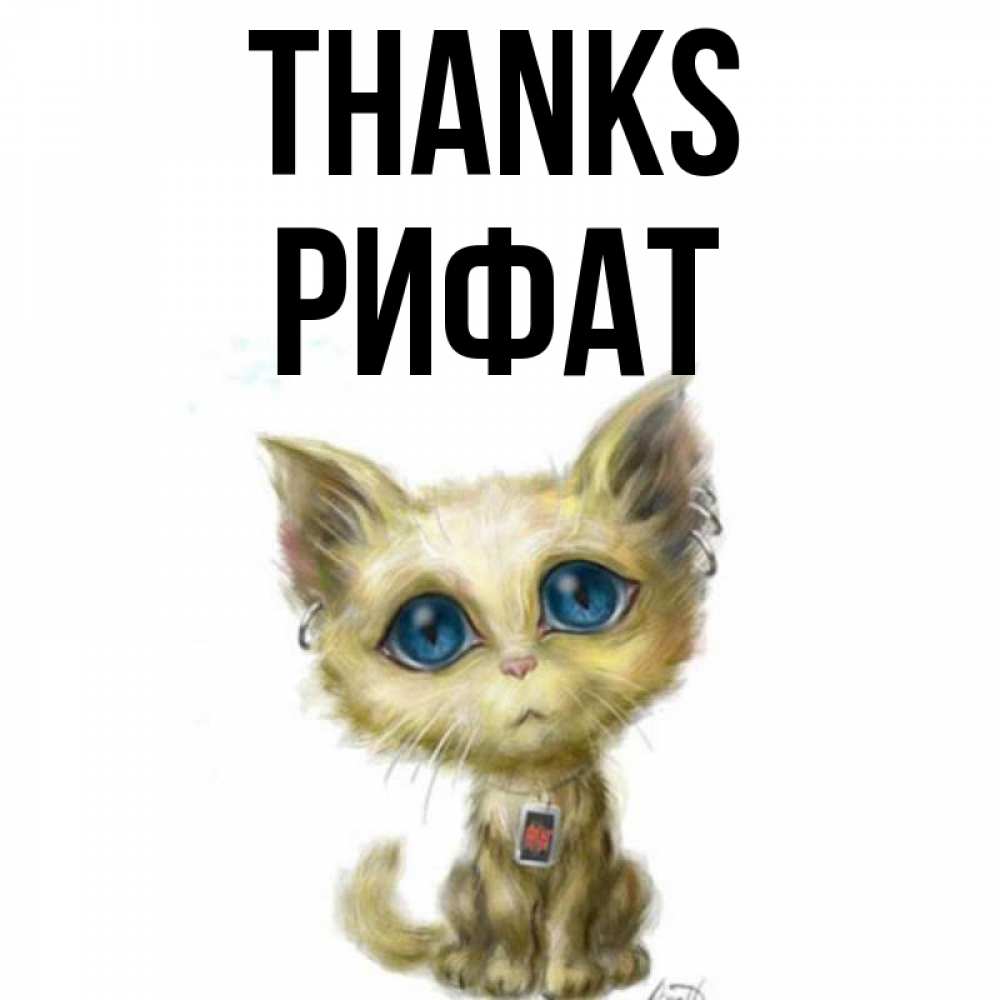 Greetings card с именем, Рифат Thanks рисованный кот благодарит вас Greetings with text for free download 