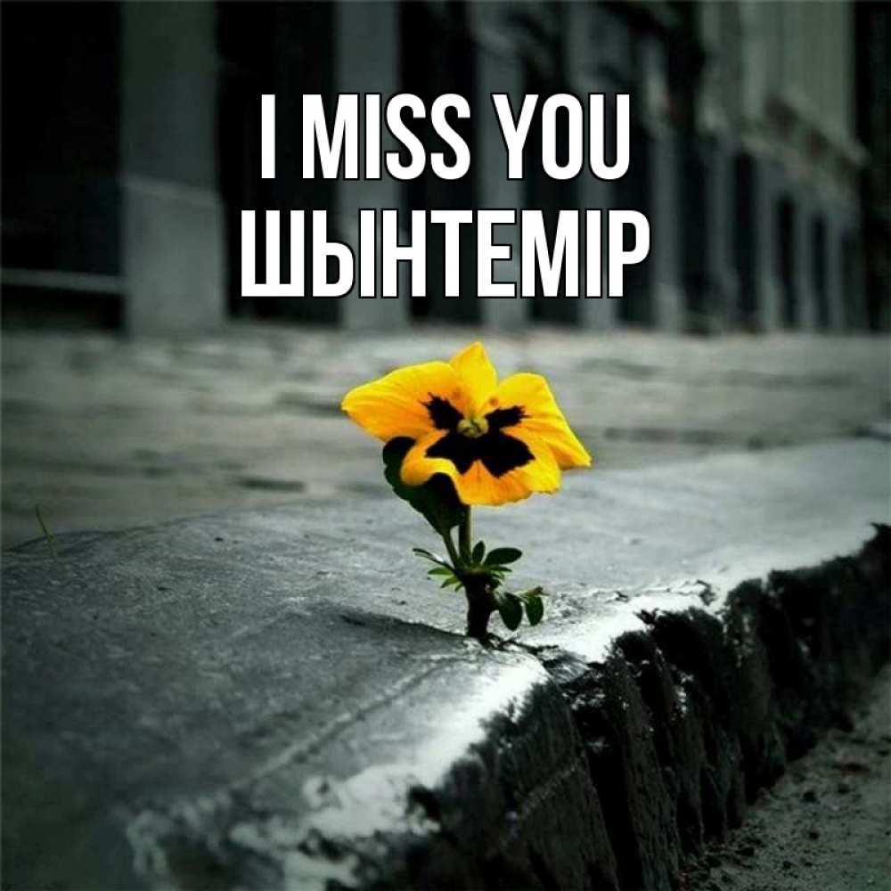 Greetings card с именем, ШЫНТЕМІР I miss you надеюсь будет лучше Greetings with text for free download 
