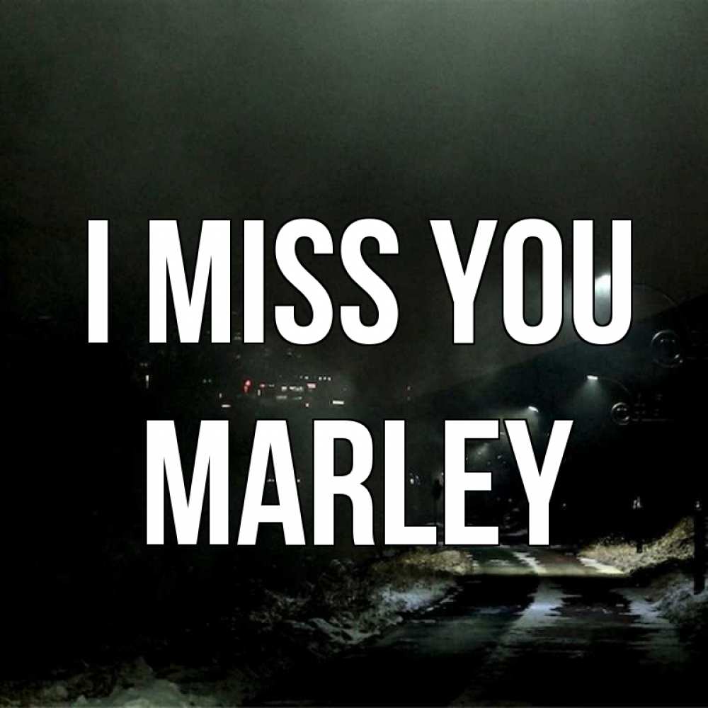 Greetings card с именем, Marley I miss you окраина города Greetings with text for free download 