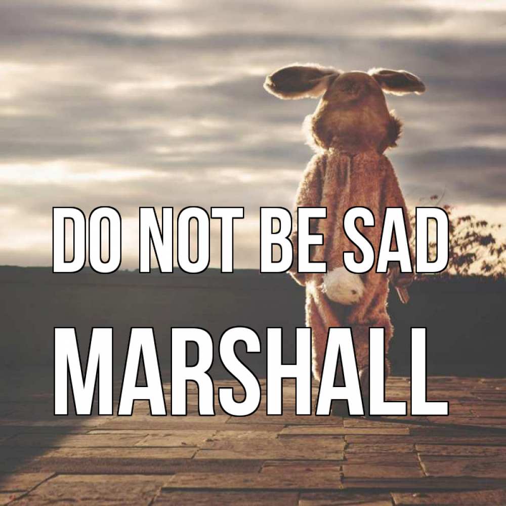 Greetings card с именем, Marshall Do not be sad со спины Greetings with text for free download 