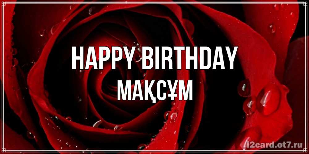 Greetings card с именем, МАҚСҰМ Happy Birthday крупная бордовая роза Greetings with text for free download 