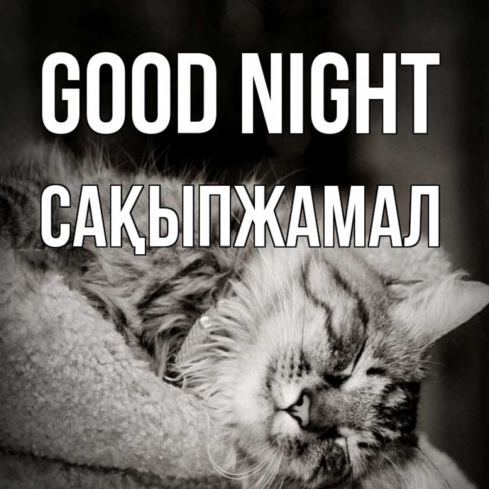 Greetings card с именем, САҚЫПЖАМАЛ Good night котярик пушистый Greetings with text for free download 