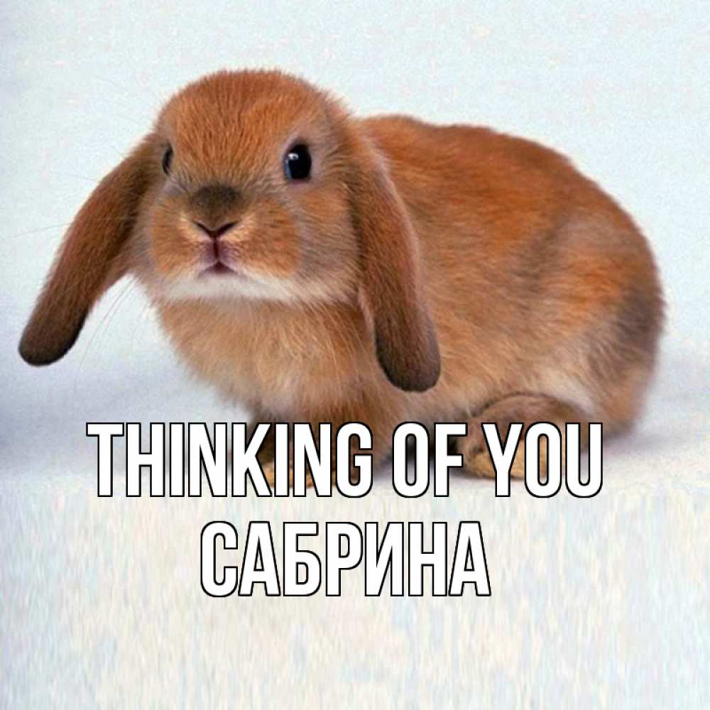 Greetings card с именем, Сабрина Thinking of you кроль коричневый Greetings with text for free download 