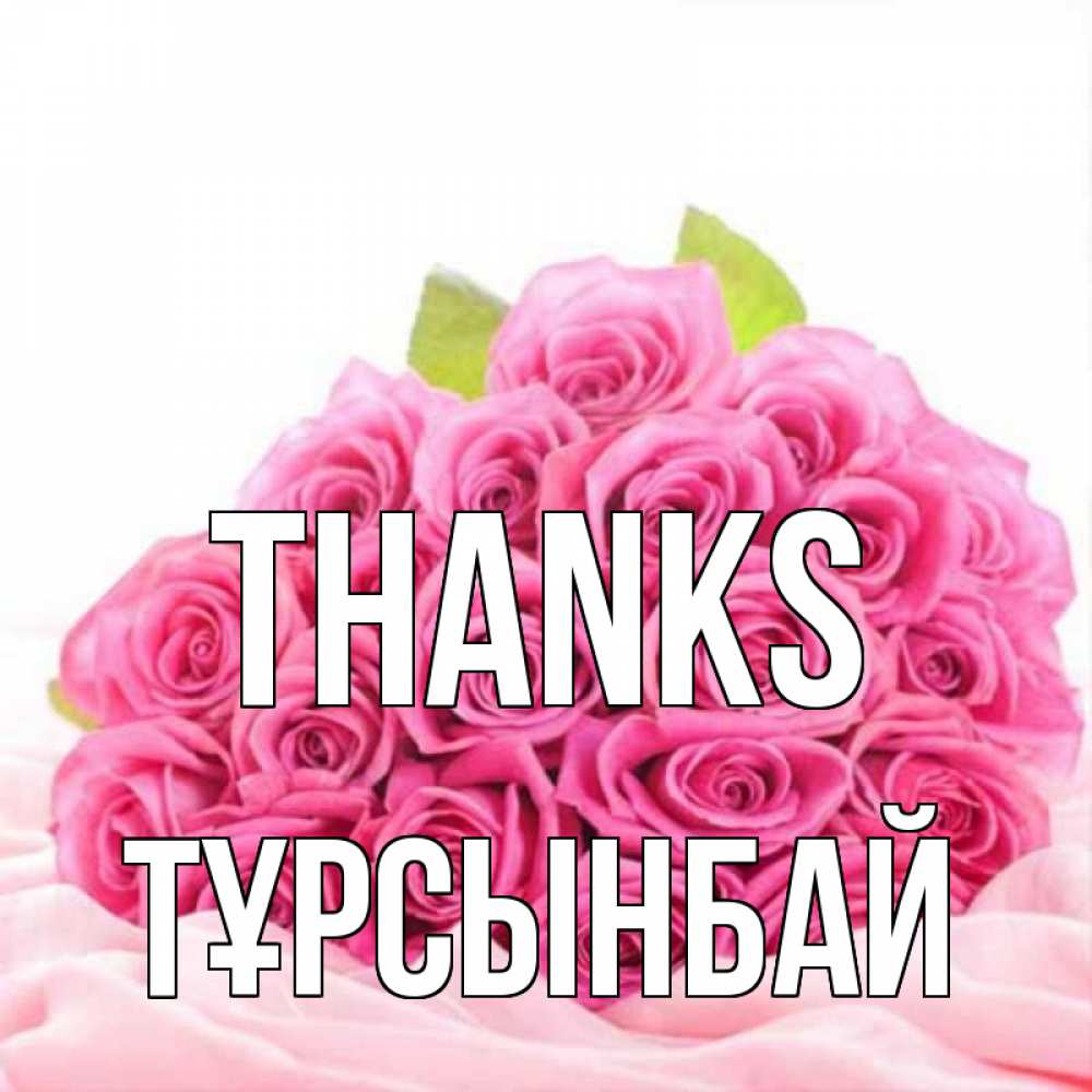Greetings card с именем, ТҰРСЫНБАЙ Thanks розовые розы с подписью Greetings with text for free download 