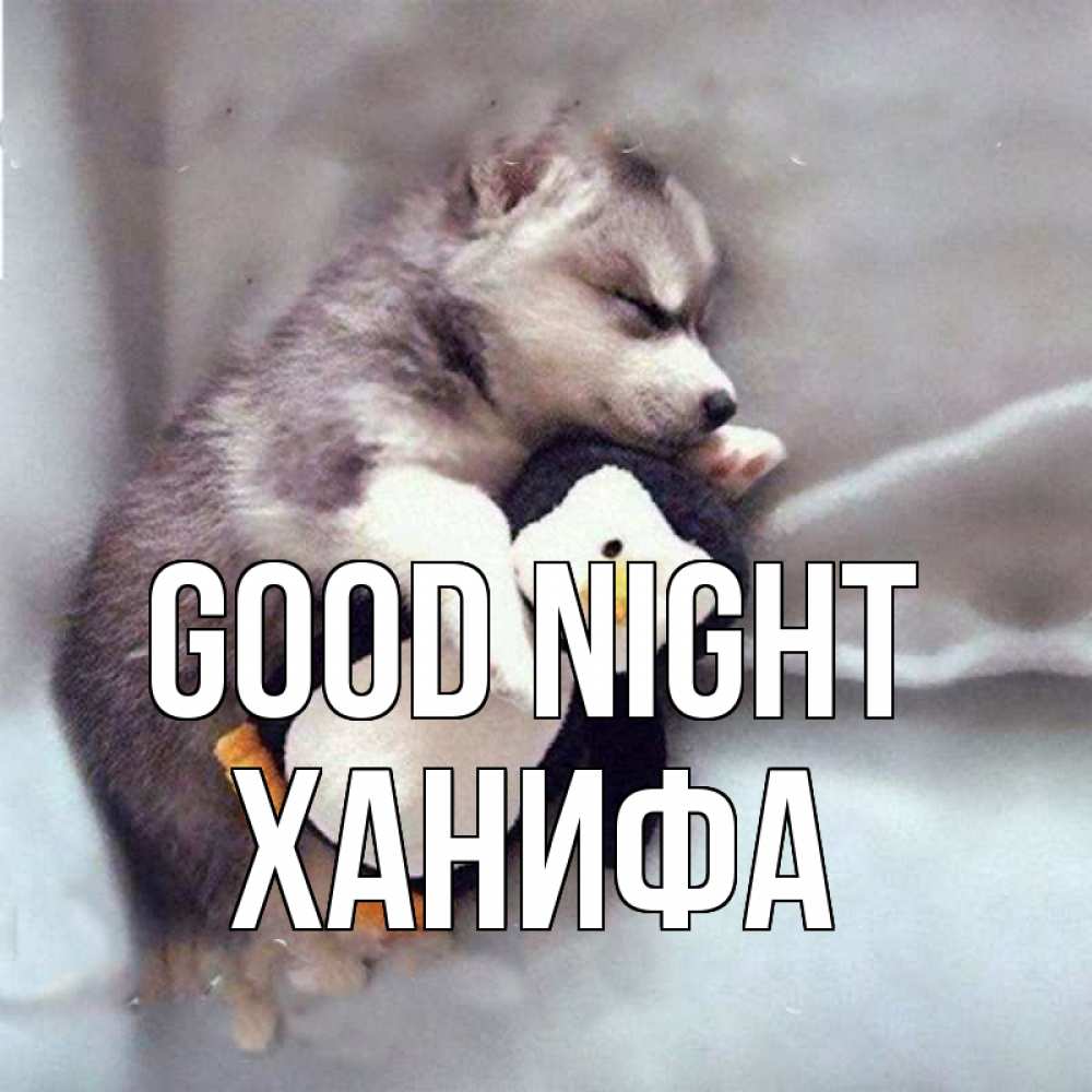 Greetings card с именем, ХАНИФА Good night обнимашки щенка и пингвина Greetings with text for free download 