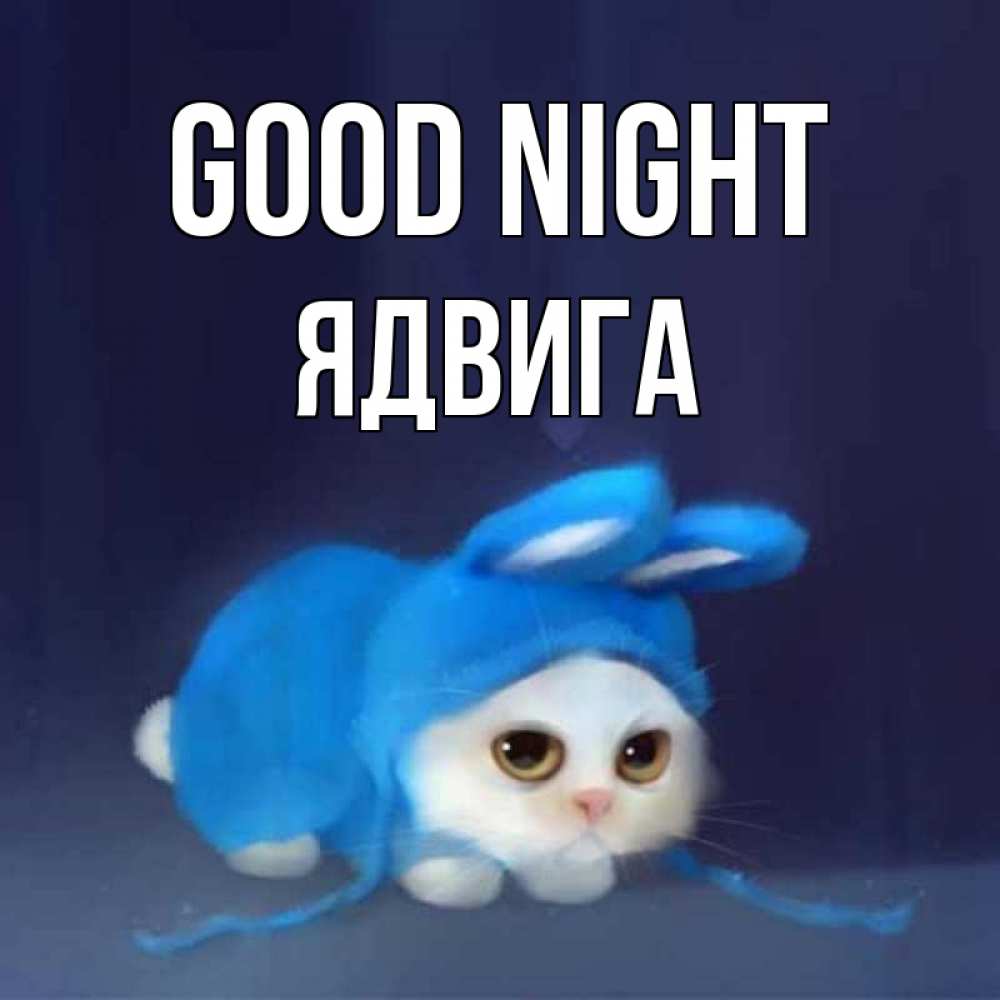 Greetings card с именем, Ядвига Good night кот в голубом костюме кролика с ушками Greetings with text for free download 