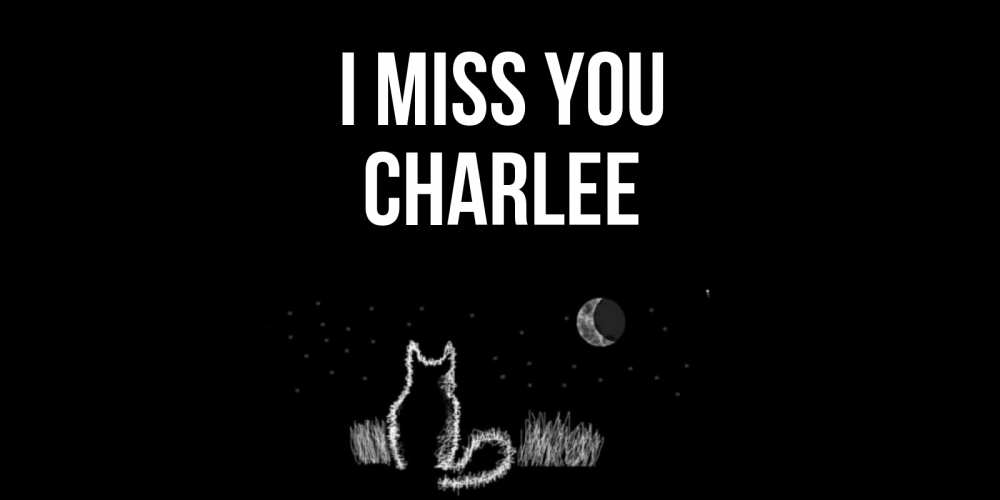 Greetings card с именем, Charlee I miss you кот Greetings with text for free download 