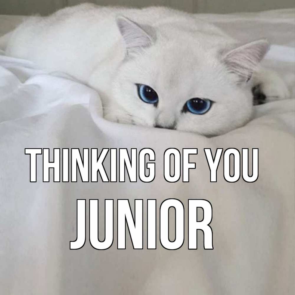 Greetings card с именем, Junior Thinking of you я очень по тебе скучаю и тоскую Greetings with text for free download 