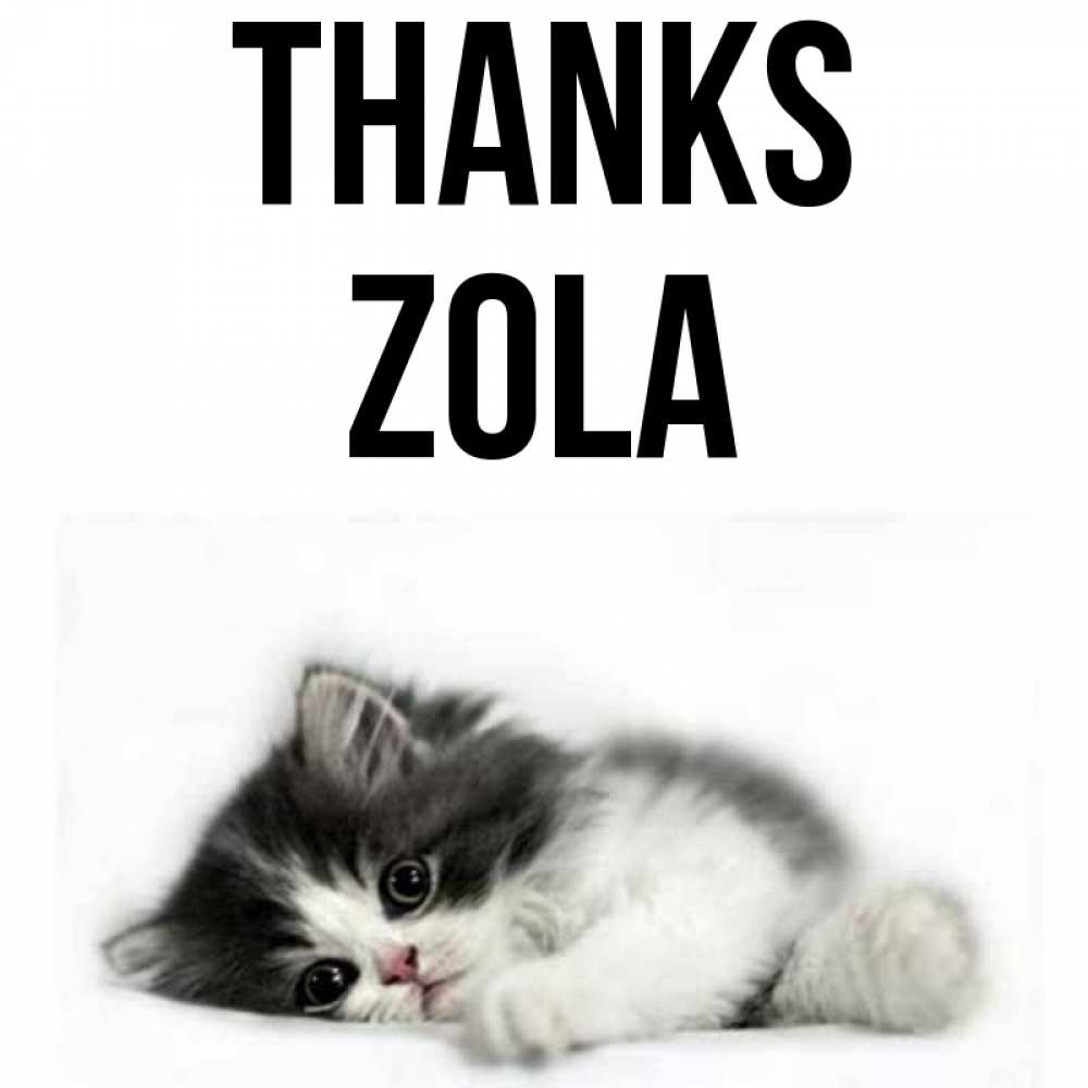 Greetings card с именем, Zola Thanks черный и белый кот Greetings with text for free download 