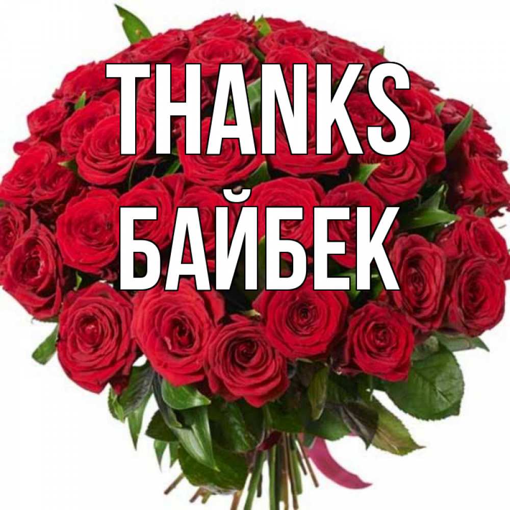 Greetings card с именем, Байбек Thanks букет красных роз Greetings with text for free download 