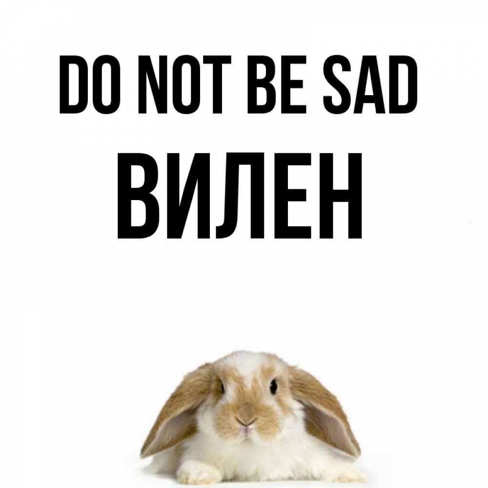 Greetings card с именем, Вилен Do not be sad коричнево белый заяц с большими ушками Greetings with text for free download 