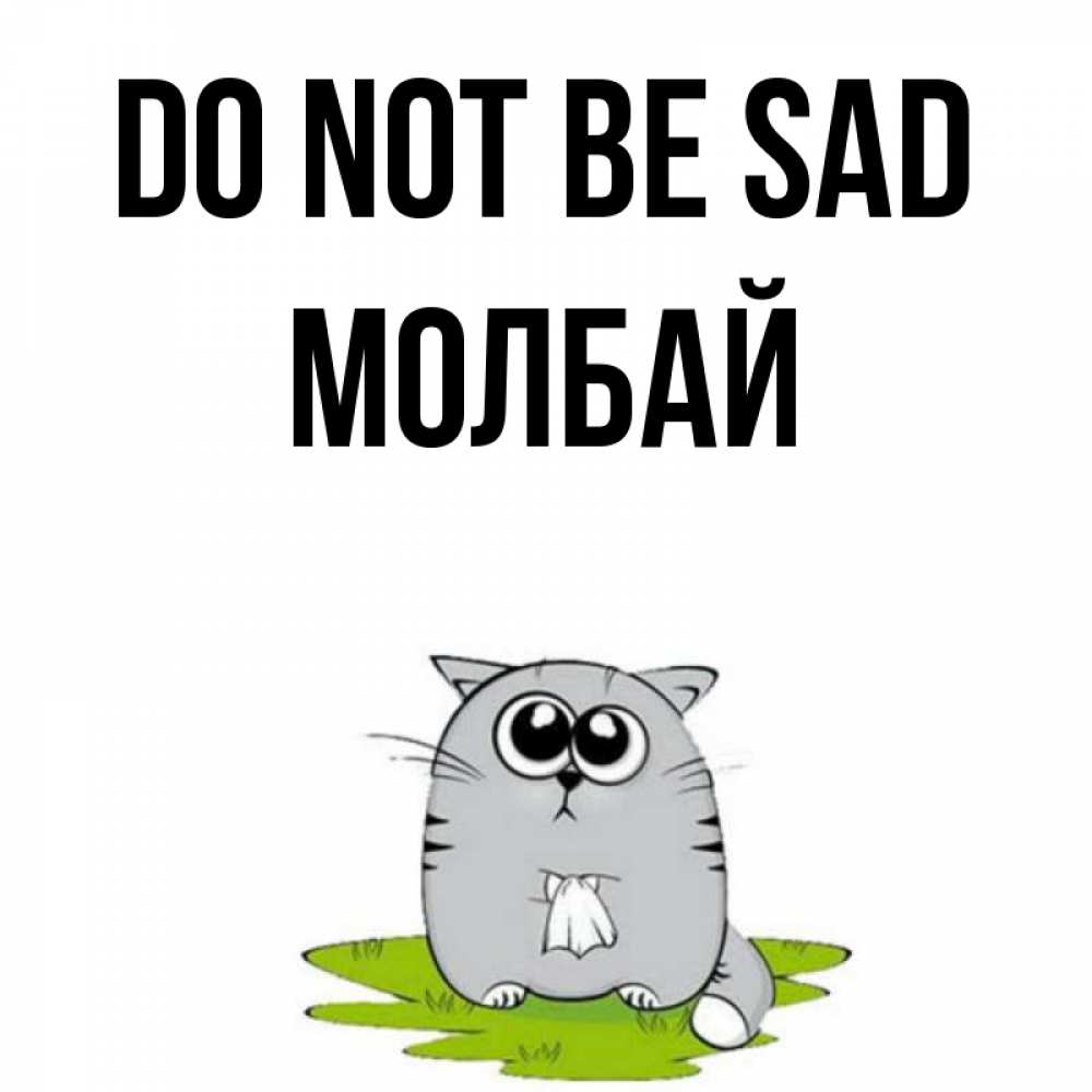 Greetings card с именем, МОЛБАЙ Do not be sad грустный котяра Greetings with text for free download 