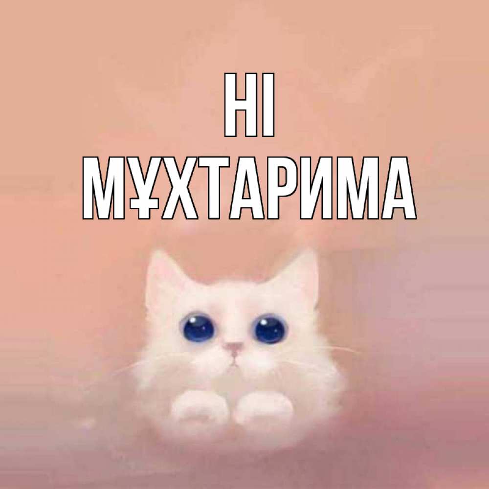 Greetings card с именем, МҰХТАРИМА Hi котик белый в полете Greetings with text for free download 