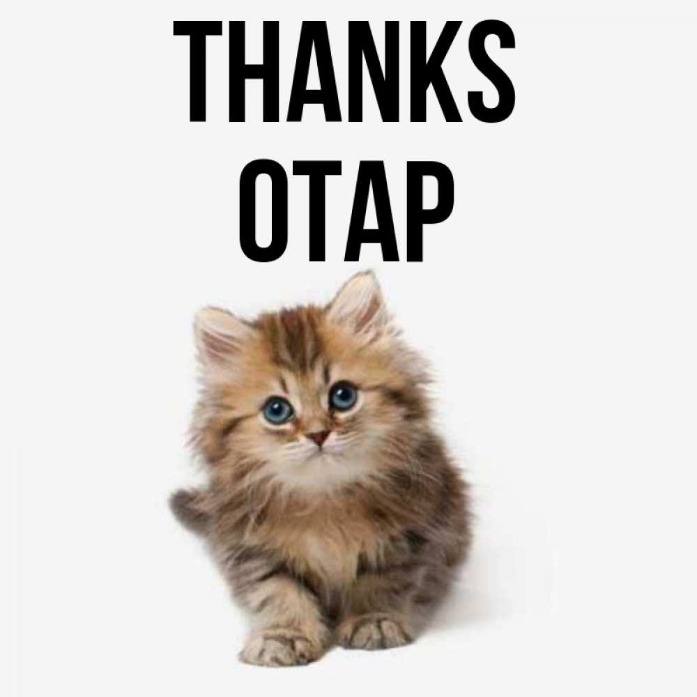 Greetings card с именем, ОТАР Thanks пушистый котик Greetings with text for free download 
