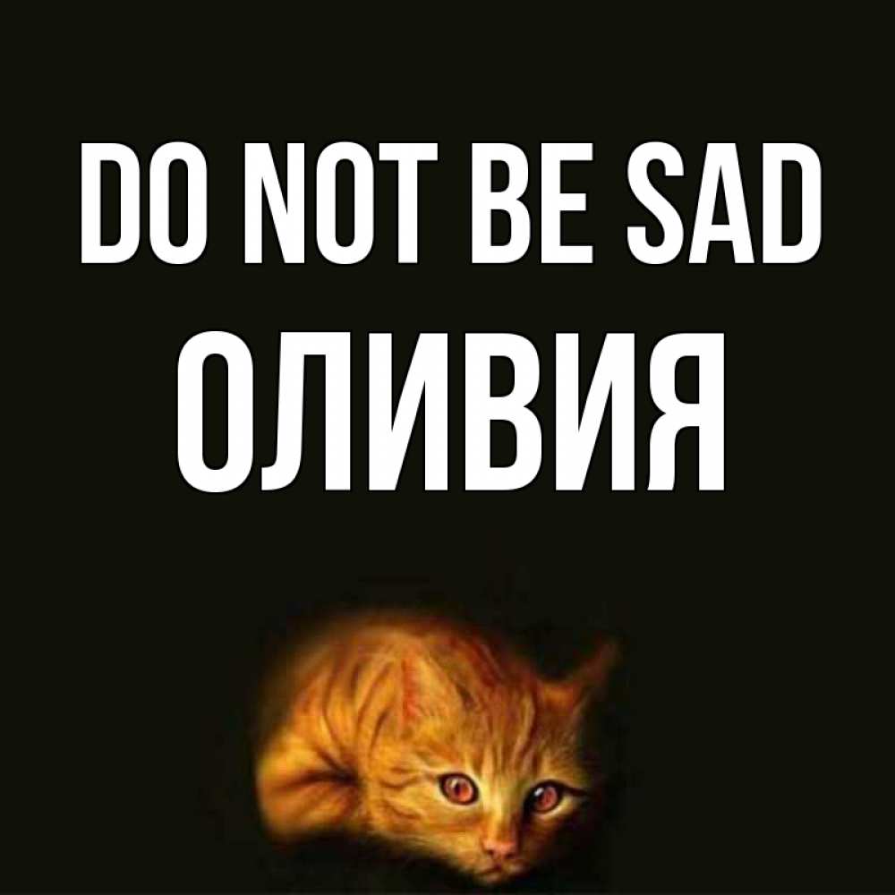 Greetings card с именем, Оливия Do not be sad лежащий кот в темноте Greetings with text for free download 