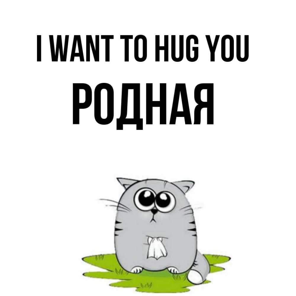 Greetings card с именем, Родная I want to hug you котик теребит платочек сидя на травке Greetings with text for free download 