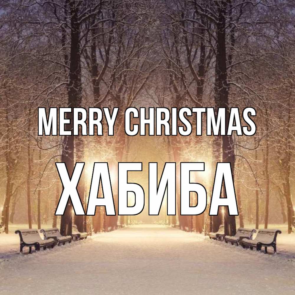 Greetings card с именем, ХАБИБА Merry Christmas зима, парк, фонарь, лес Greetings with text for free download 