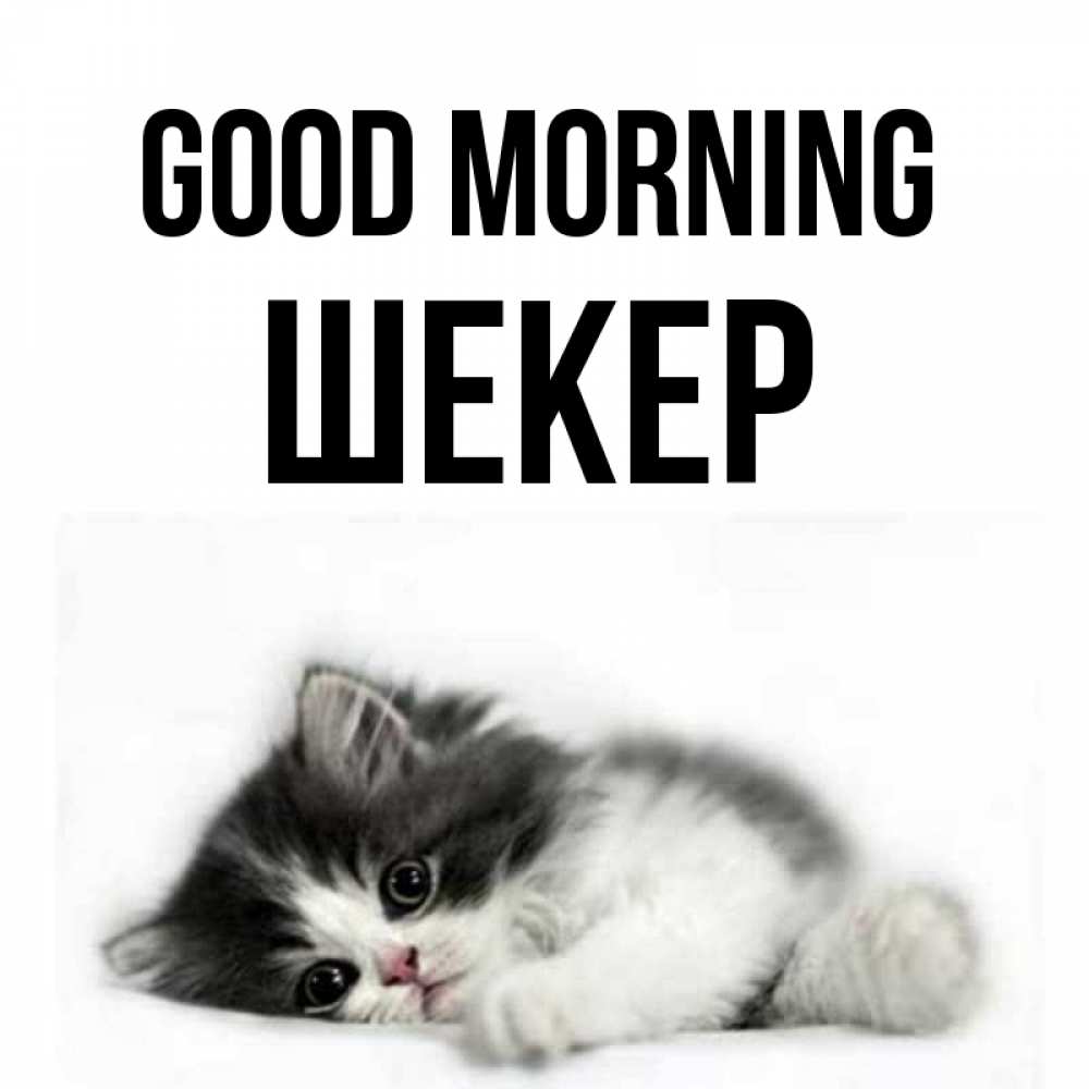 Greetings card с именем, ШЕКЕР Good morning кот лапки Greetings with text for free download 