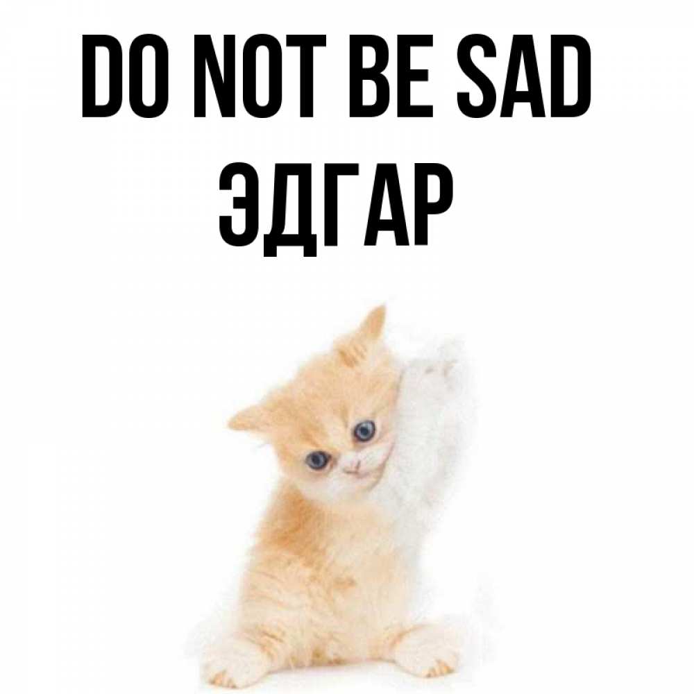 Greetings card с именем, Эдгар Do not be sad просящий кот Greetings with text for free download 