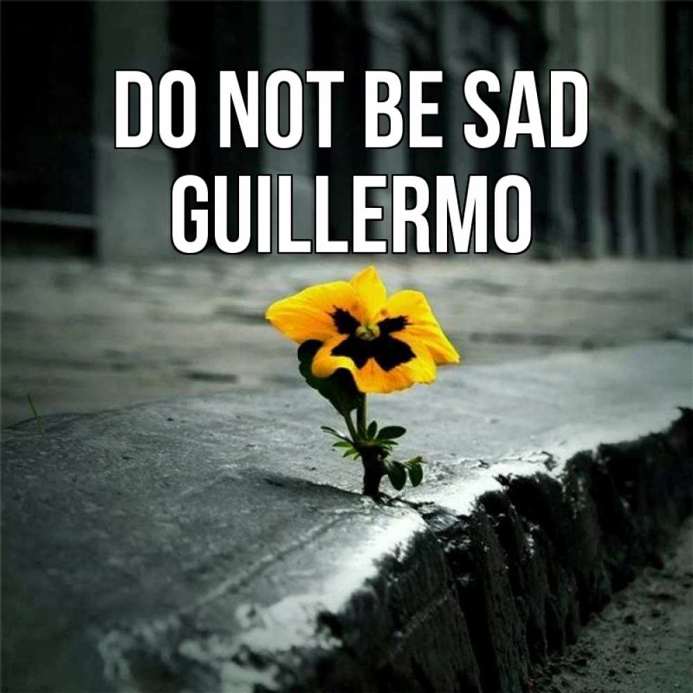Greetings card с именем, Guillermo Do not be sad не сдавайся Greetings with text for free download 