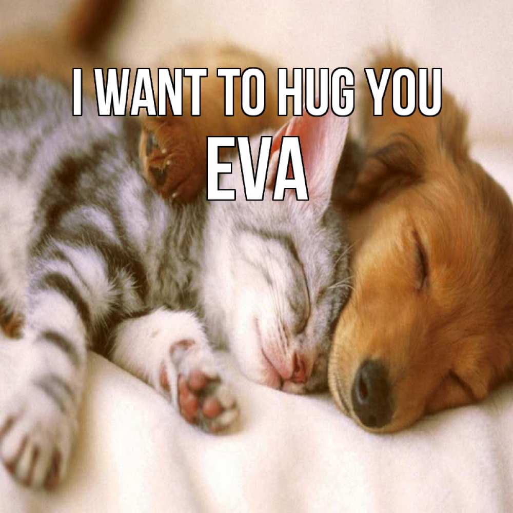 Greetings card с именем, Eva I want to hug you пес и котенок Greetings with text for free download 