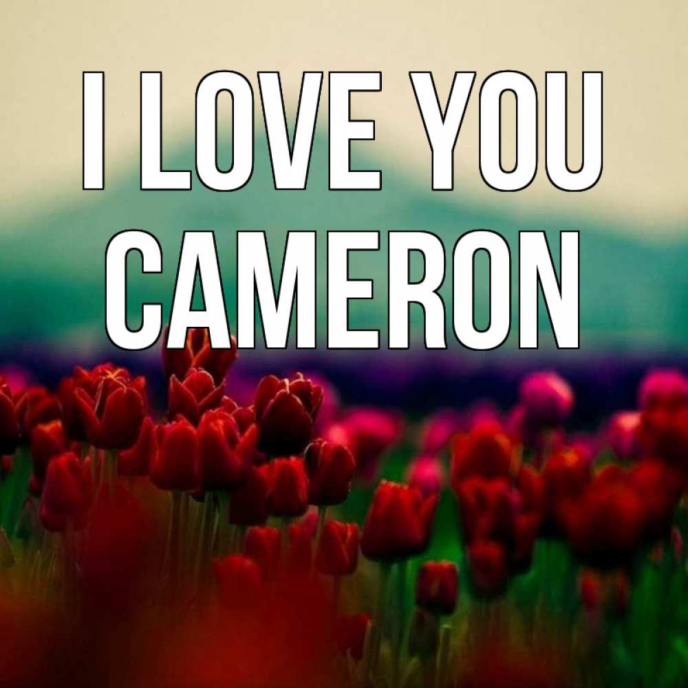 Greetings card с именем, Cameron I love you тюльпаны 4 Greetings with text for free download 