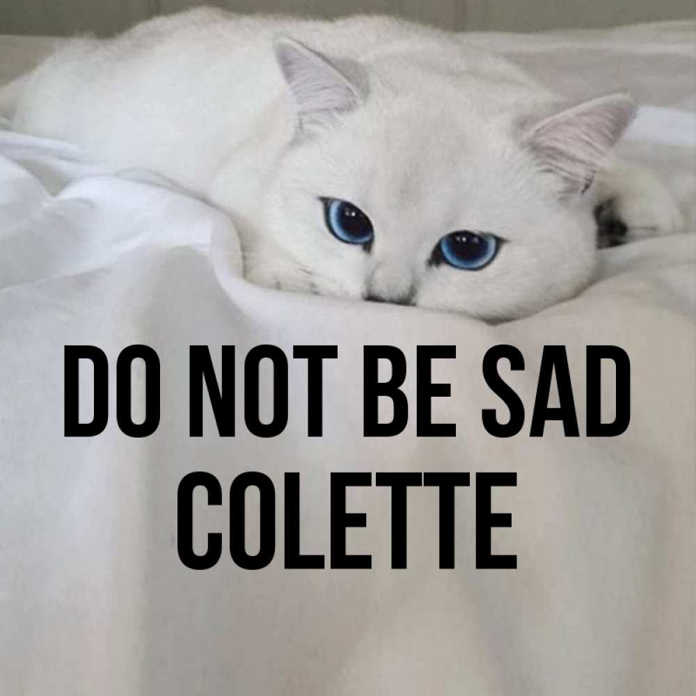 Greetings card с именем, Colette Do not be sad Голубоглазая кошка Greetings with text for free download 