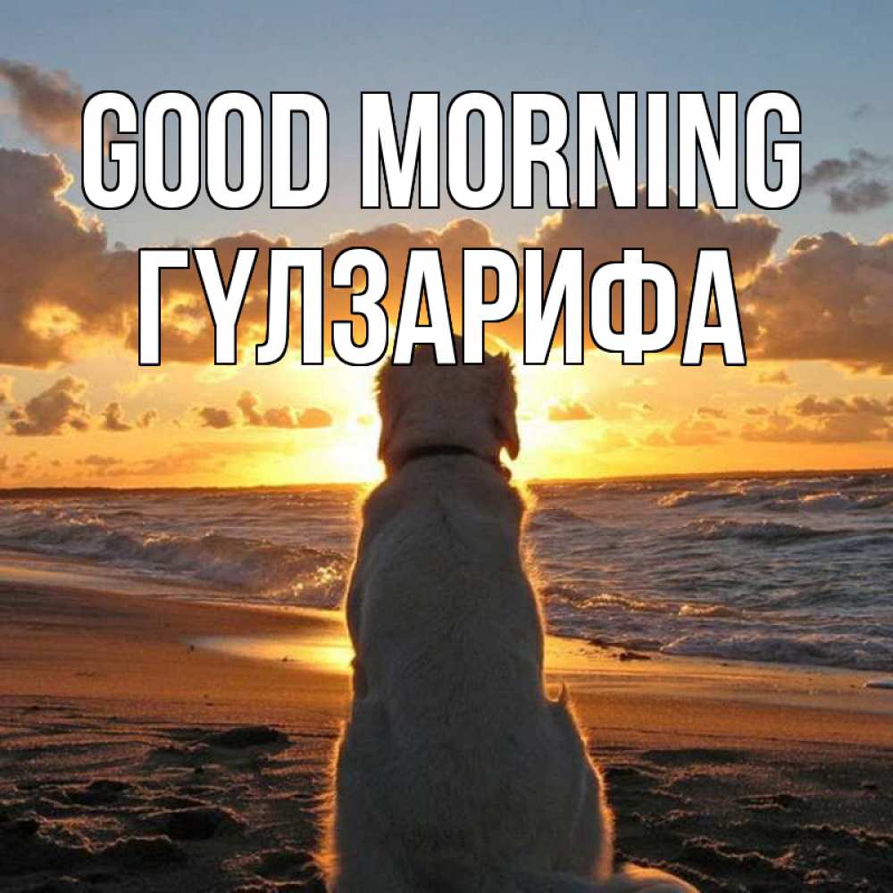 Greetings card с именем, ГҮЛЗАРИФА Good morning восход солнца Greetings with text for free download 
