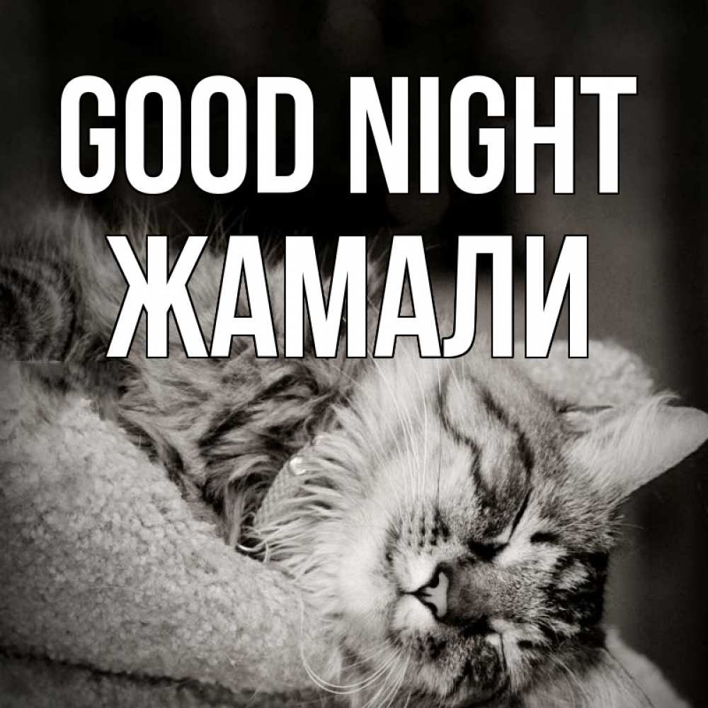 Greetings card с именем, ЖАМАЛИ Good night котярик пушистый Greetings with text for free download 