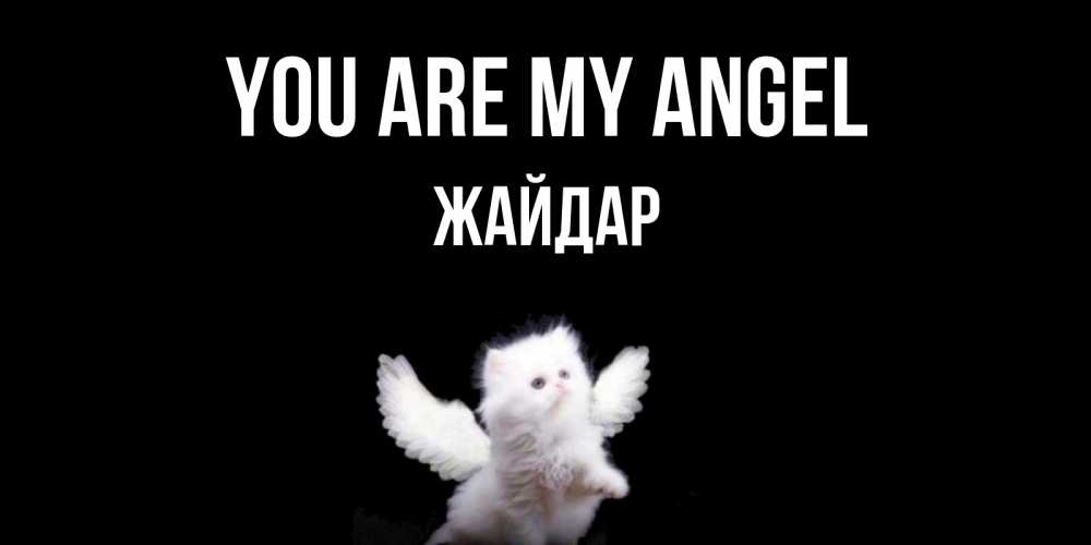 Greetings card с именем, Жайдар You are my angel Кот ангел Greetings with text for free download 