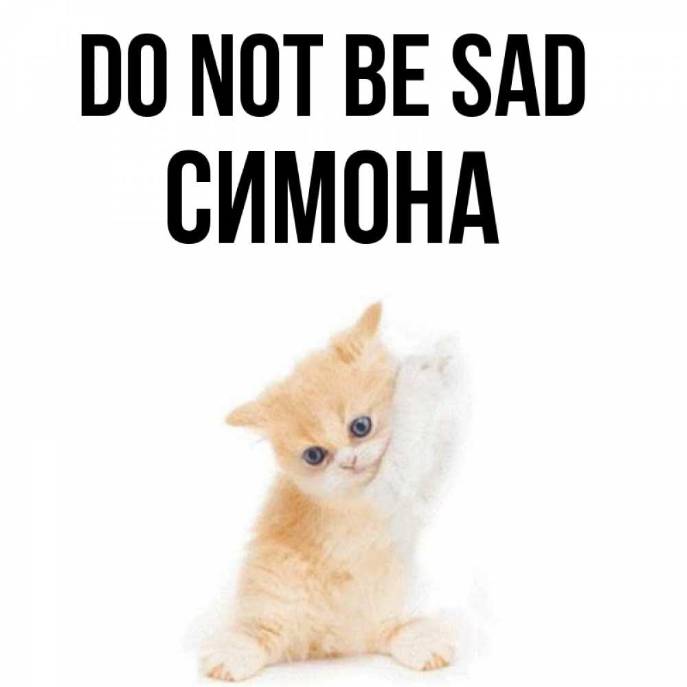 Greetings card с именем, Симона Do not be sad просящий кот Greetings with text for free download 