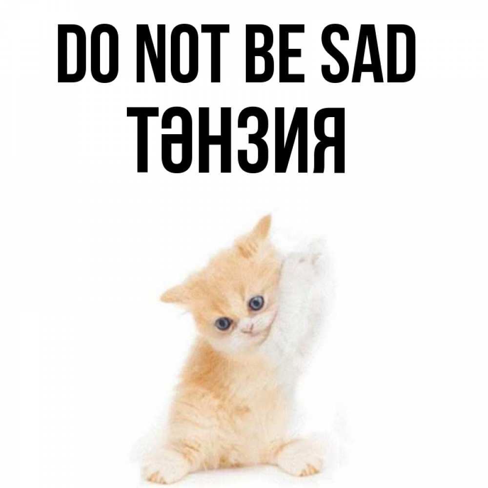 Greetings card с именем, ТӘНЗИЯ Do not be sad просящий кот Greetings with text for free download 
