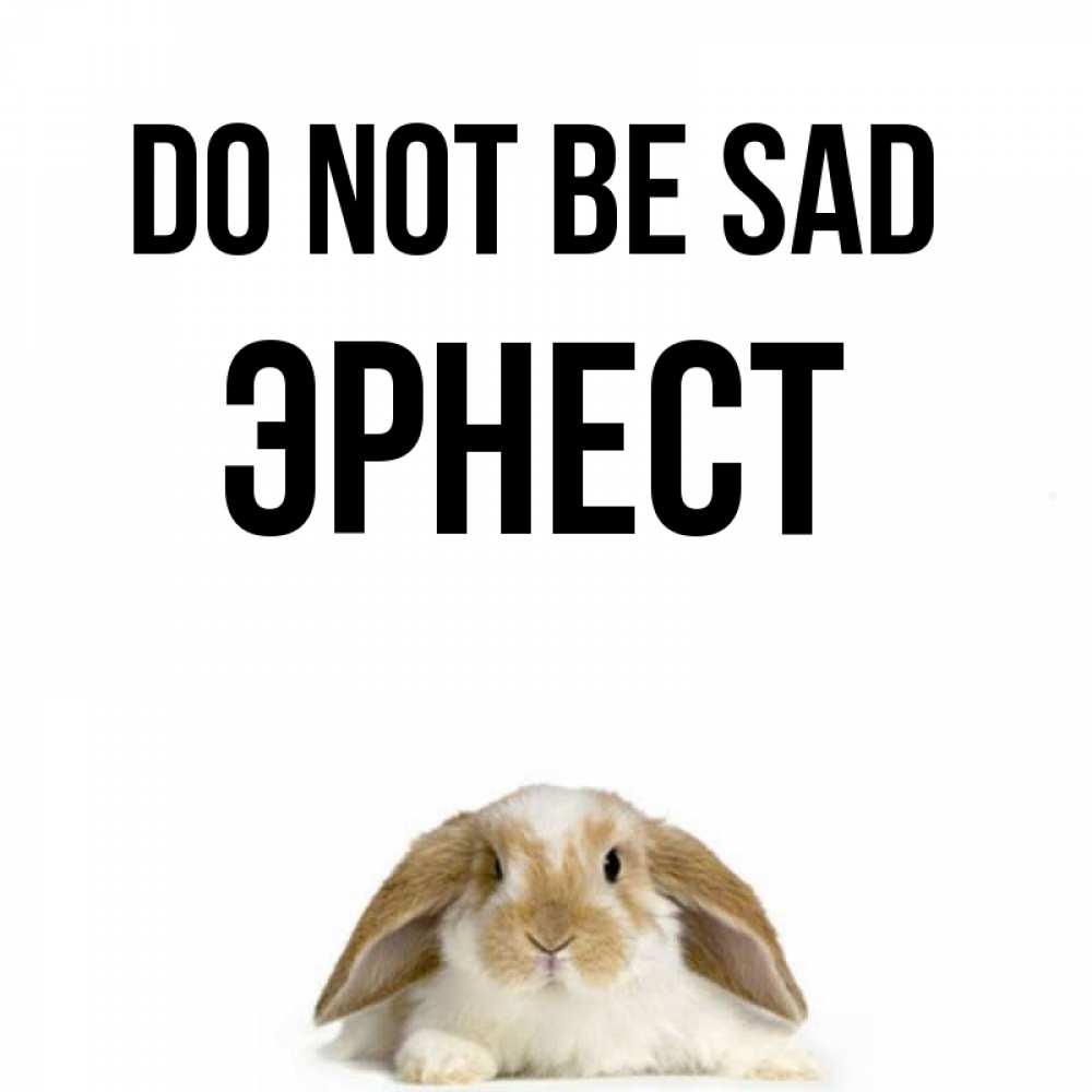 Greetings card с именем, Эрнест Do not be sad коричнево белый заяц с большими ушками Greetings with text for free download 