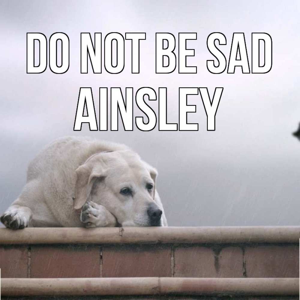 Greetings card с именем, Ainsley Do not be sad белый пес 1 Greetings with text for free download 