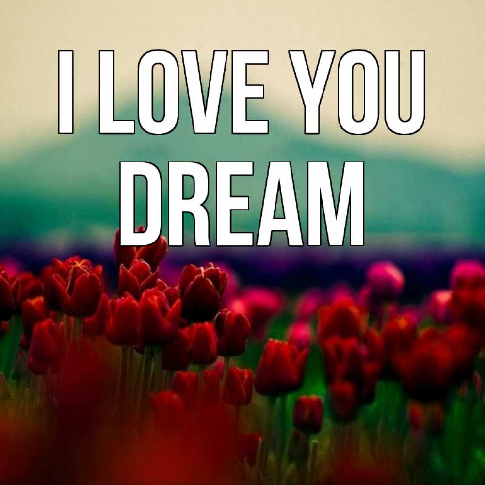 Greetings card с именем, Dream I love you тюльпаны 4 Greetings with text for free download 