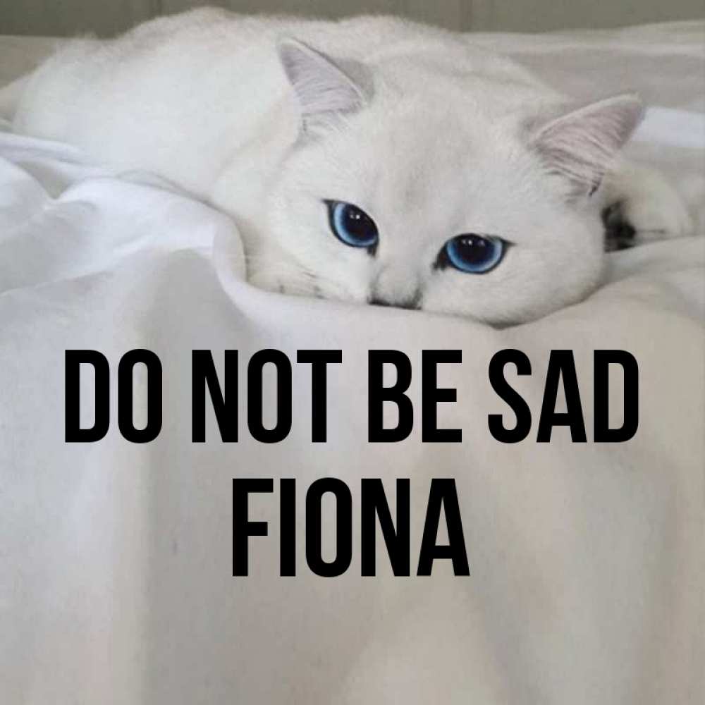 Greetings card с именем, Fiona Do not be sad Голубоглазая кошка Greetings with text for free download 