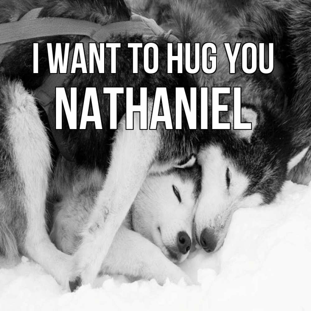 Greetings card с именем, Nathaniel I want to hug you собачки в упряжке Greetings with text for free download 