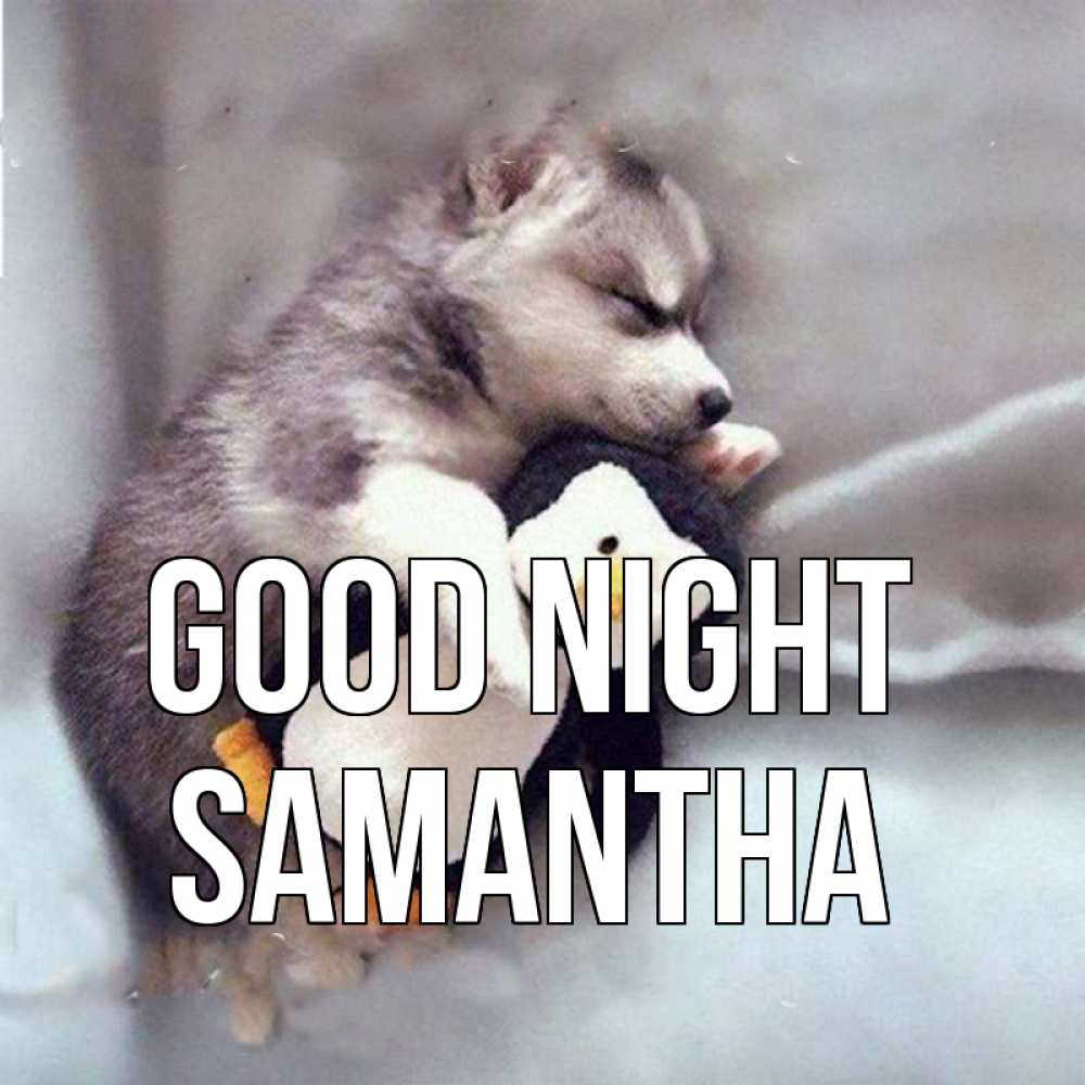 Greetings card с именем, Samantha Good night обнимашки щенка и пингвина Greetings with text for free download 