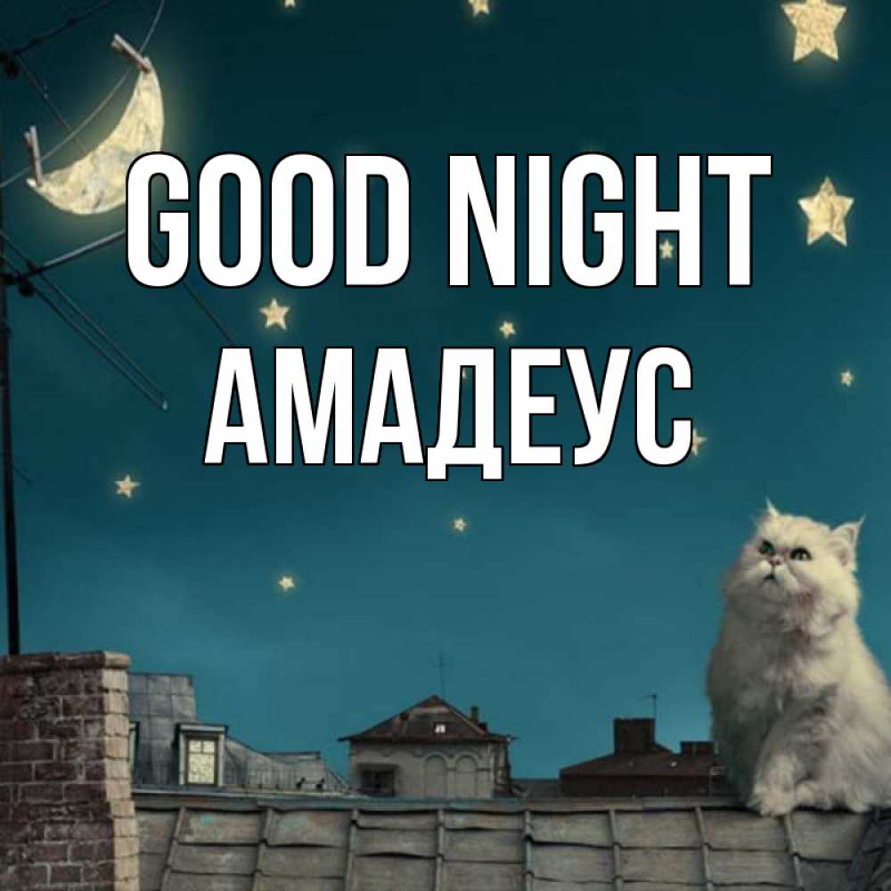 Greetings card с именем, Амадеус Good night белый кот сидит на крыше Greetings with text for free download 