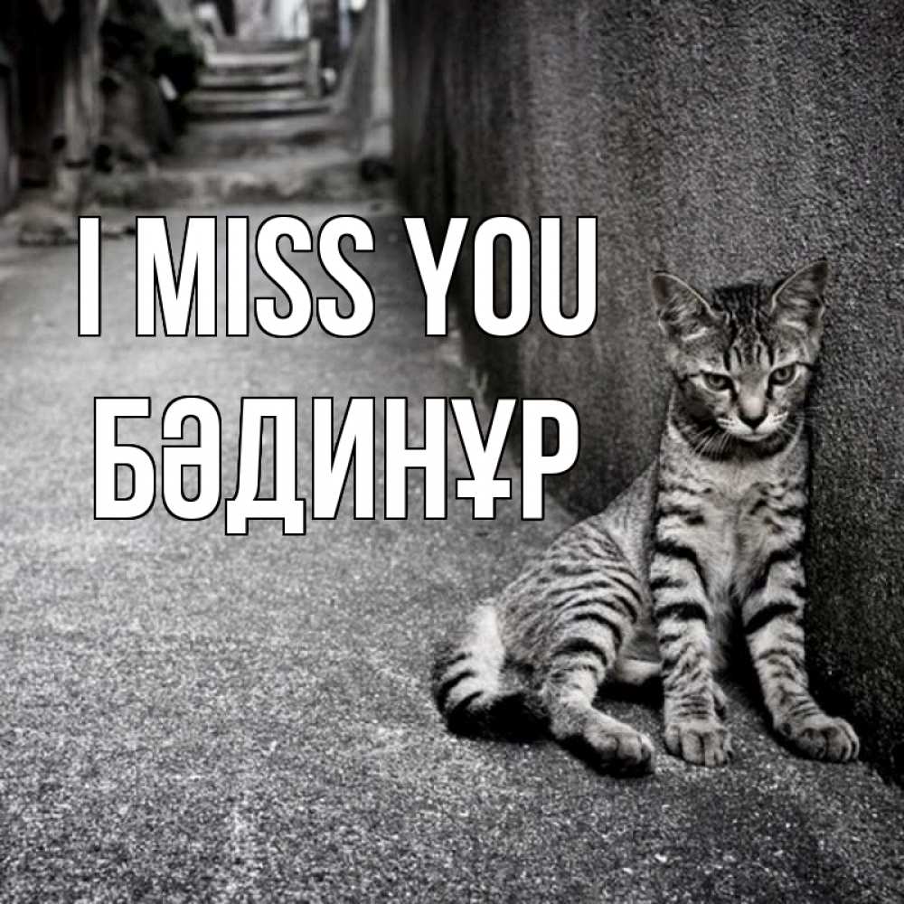 Greetings card с именем, БӘДИНҰР I miss you одиноко котику Greetings with text for free download 