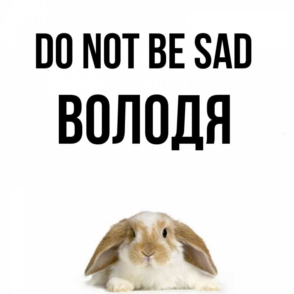 Greetings card с именем, Володя Do not be sad коричнево белый заяц с большими ушками Greetings with text for free download 