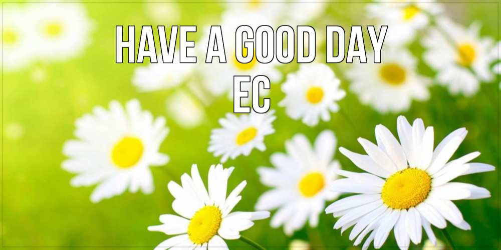 Greetings card с именем, Ес Have a good day открытка с ромашками на зеленом фоне Greetings with text for free download 