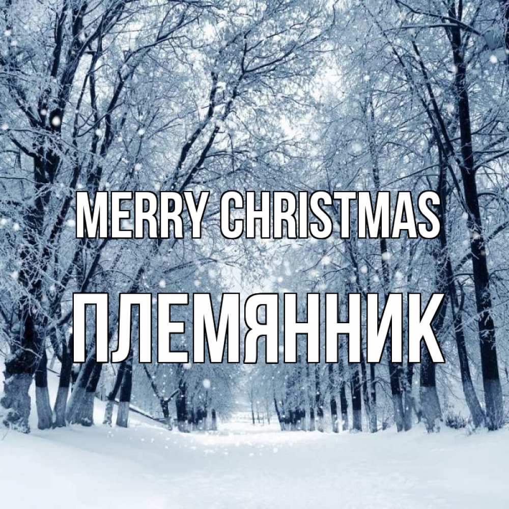 Greetings card с именем, Племянник Merry Christmas снег, лес, парк Greetings with text for free download 