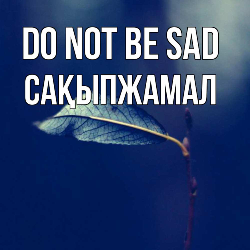 Greetings card с именем, САҚЫПЖАМАЛ Do not be sad растение Greetings with text for free download 