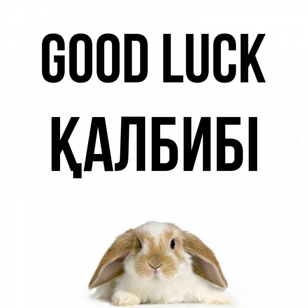 Greetings card с именем, ҚАЛБИБІ Good luck открытки с произвольным текстом который можно вставить в открытку и создать ее самостоятельно бесплатно онлайн Greetings with text for free download 
