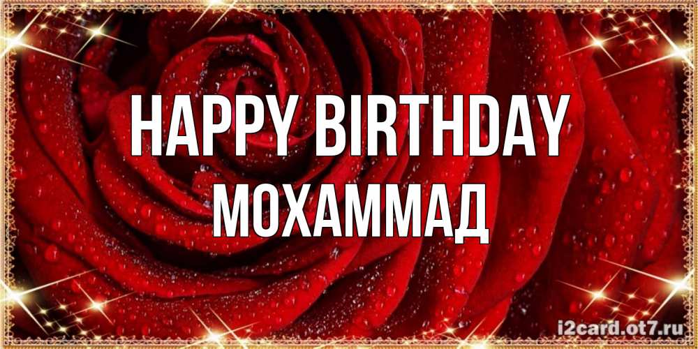 Greetings card с именем, Мохаммад Happy Birthday роса на розе блестящая в лучах солнца Greetings with text for free download 