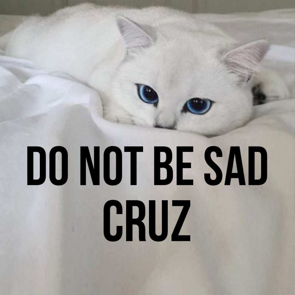 Greetings card с именем, Cruz Do not be sad Голубоглазая кошка Greetings with text for free download 