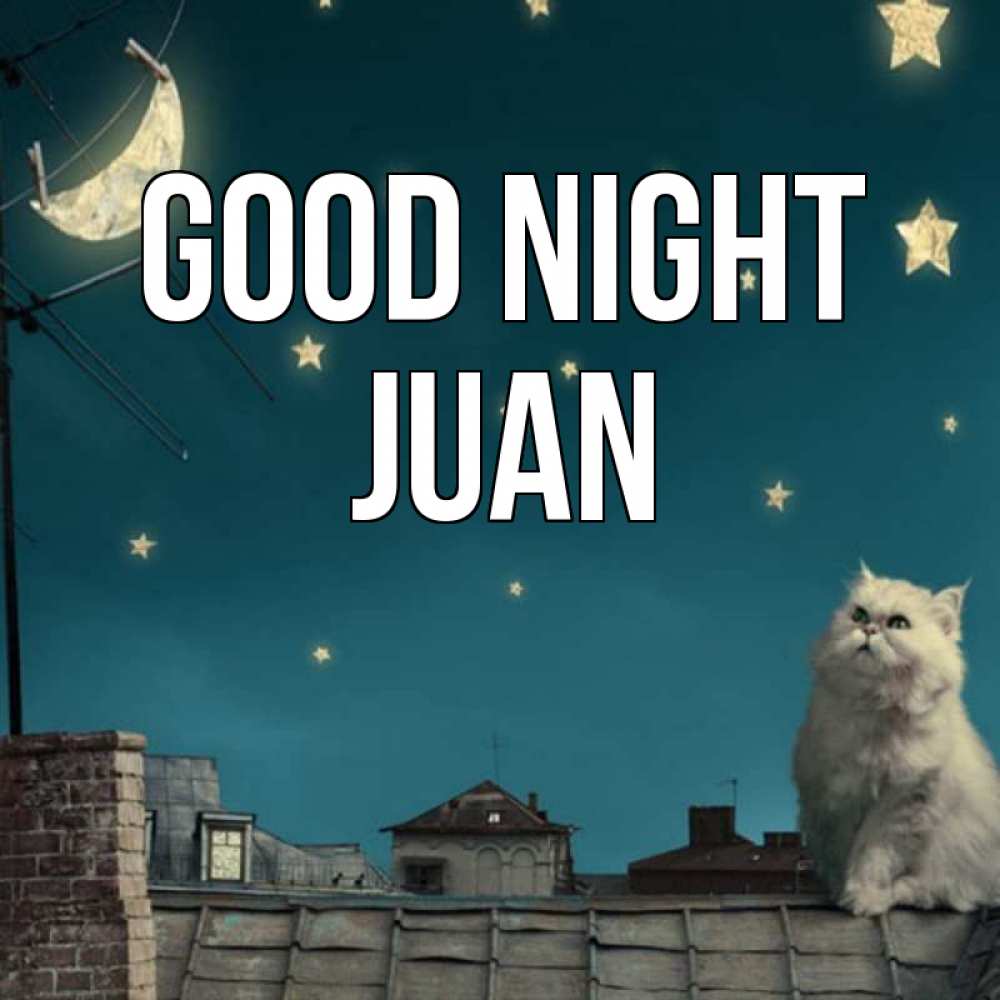 Greetings card с именем, Juan Good night белый кот сидит на крыше Greetings with text for free download 